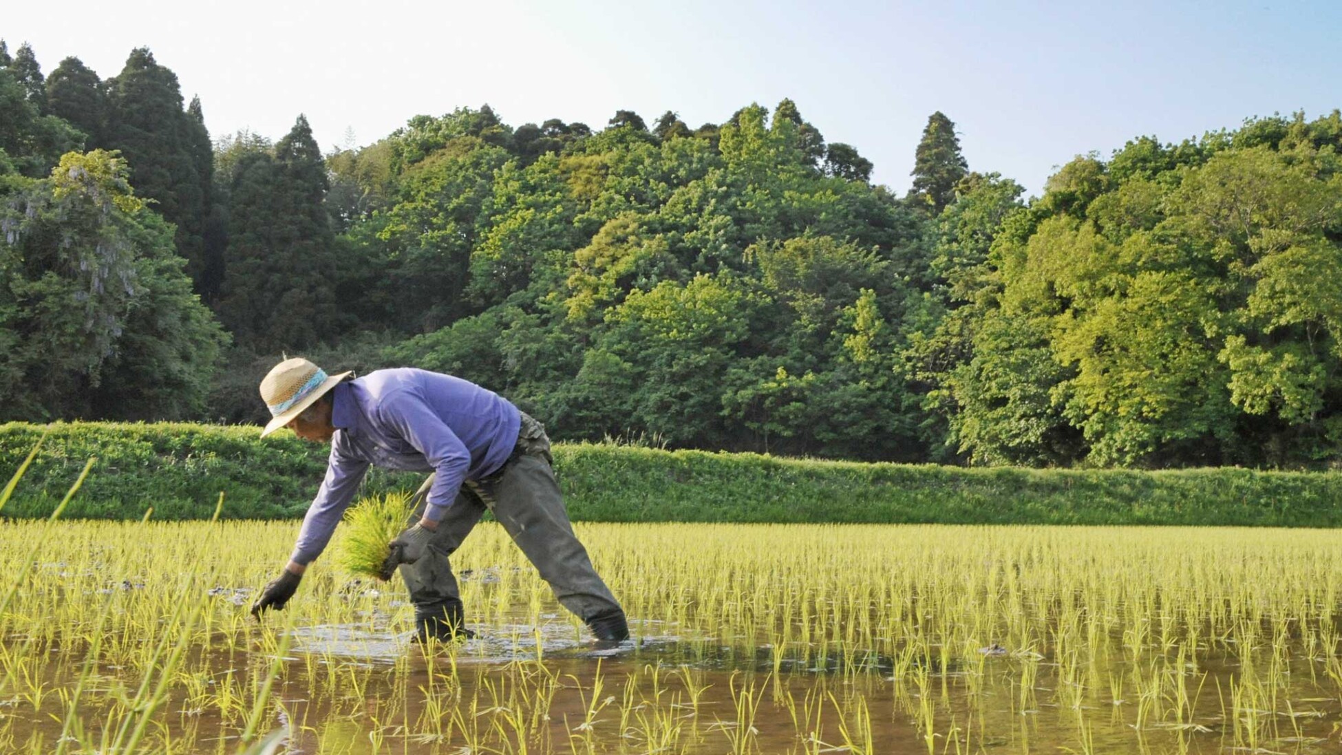 Privado: Agricultura Natural
